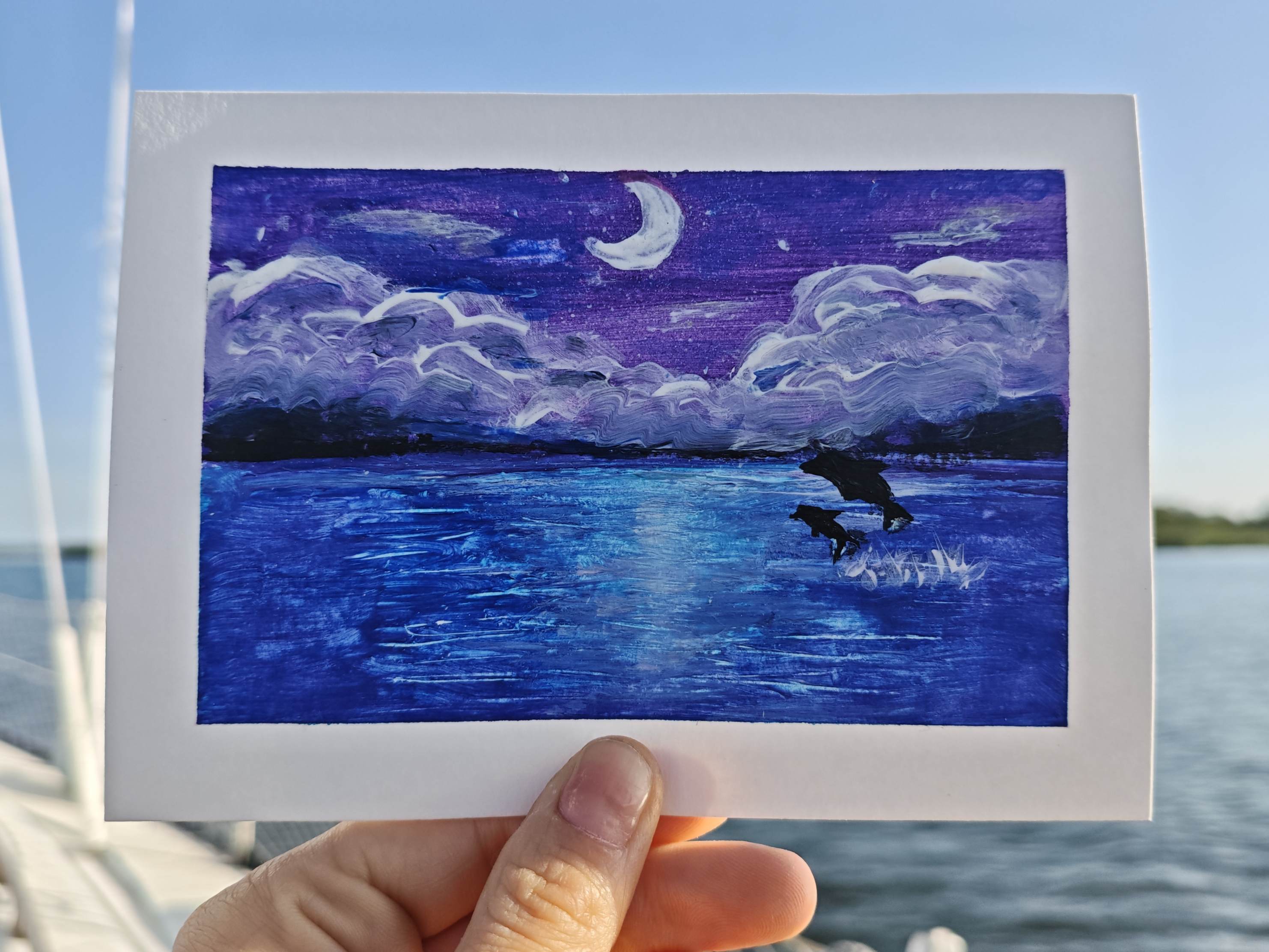 Midnight Dolphins