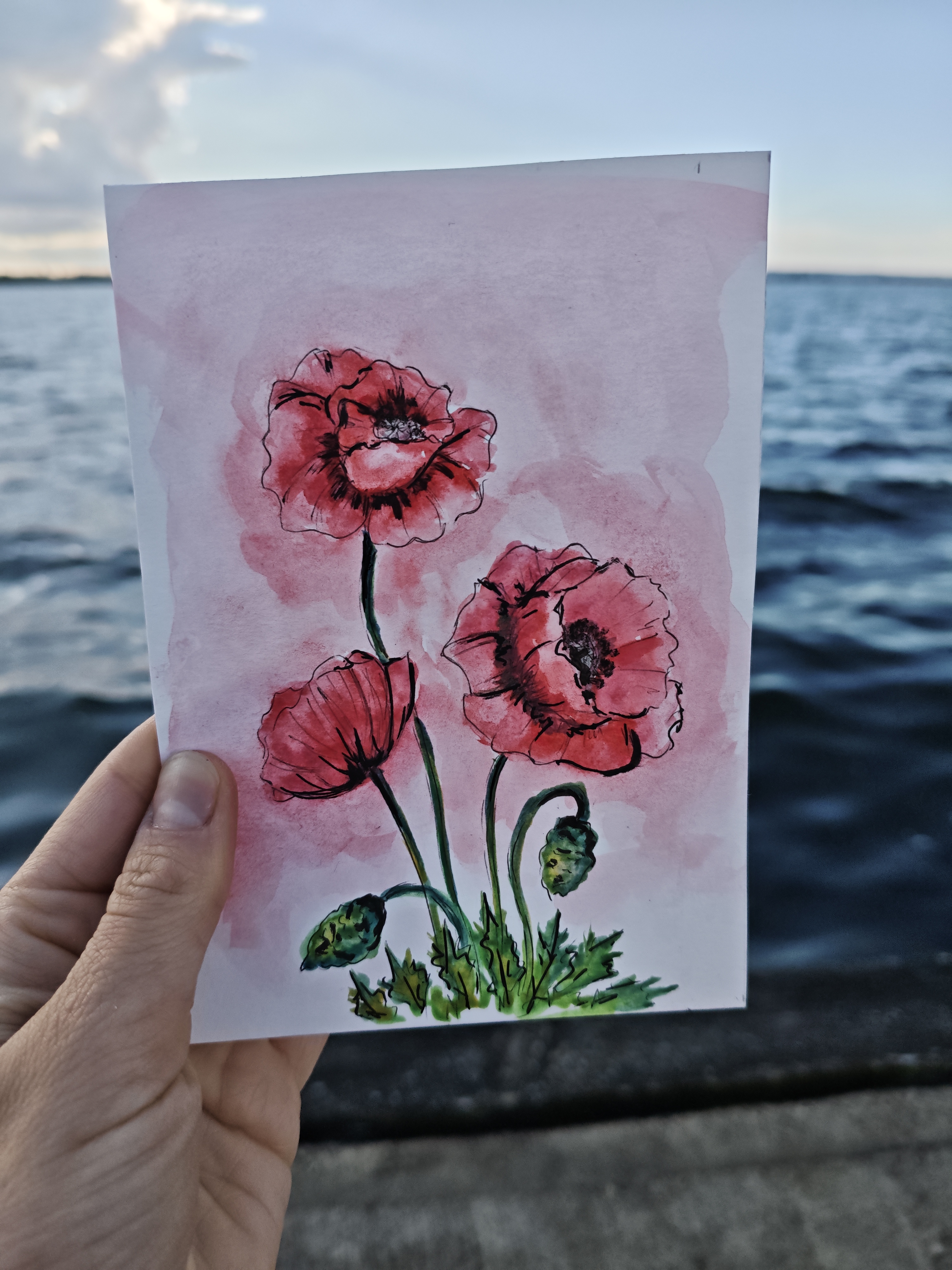 Red Poppies