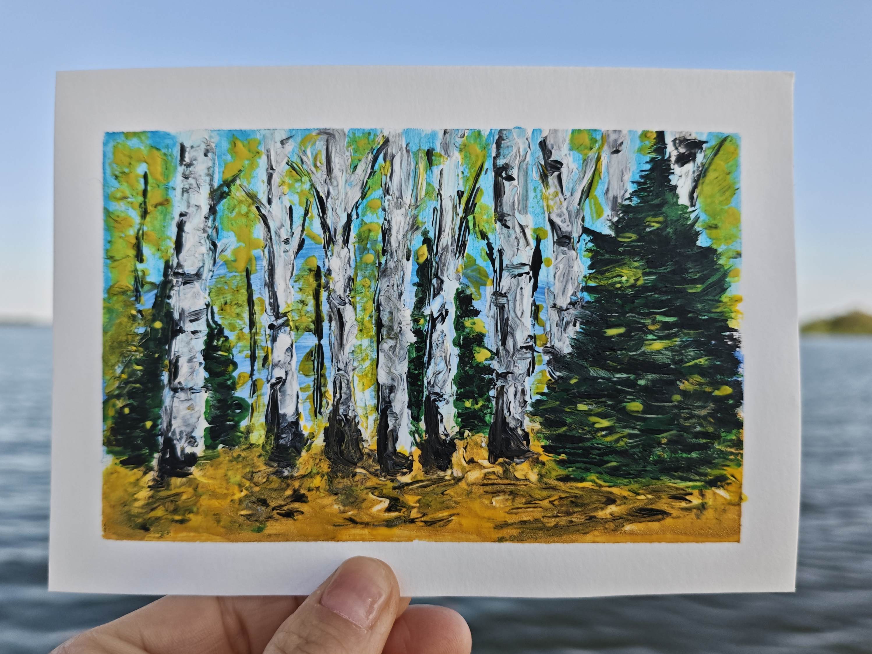 Sunny Birch Grove